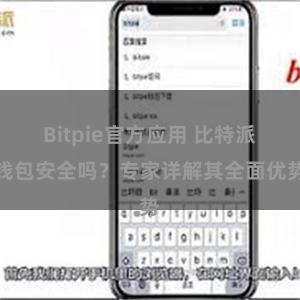 Bitpie官方应用 比特派钱包安全吗？专家详解其全面优势