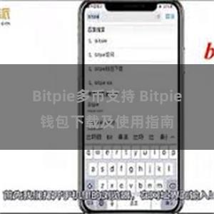 Bitpie多币支持 Bitpie钱包下载及使用指南