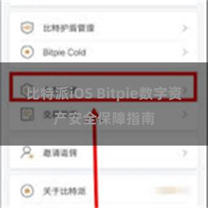 比特派iOS Bitpie数字资产安全保障指南