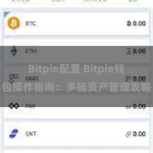 Bitpie配置 Bitpie钱包操作指南：多链资产管理攻略