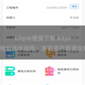 Bitpie便捷下载 Bitpie钱包操作指南：多链资产管理攻略