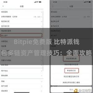 Bitpie免费版 比特派钱包多链资产管理技巧：全面攻略