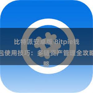 比特派安卓版 Bitpie钱包使用技巧：多链资产管理全攻略