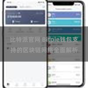 比特派官网 Bitpie钱包支持的区块链网络全面解析