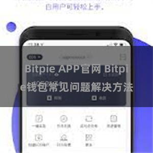 Bitpie APP官网 Bitpie钱包常见问题解决方法