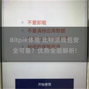 Bitpie体验 比特派钱包安全可靠？优势全面解析!