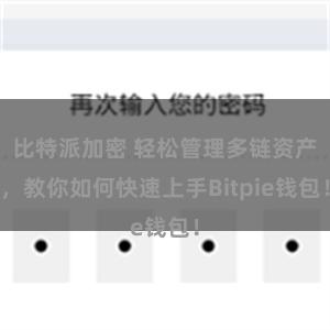 比特派加密 轻松管理多链资产，教你如何快速上手Bitpie钱包！