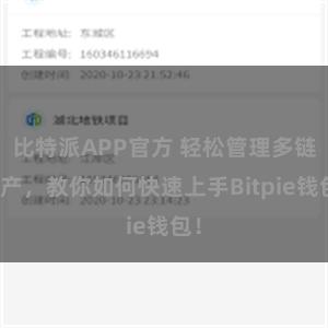 比特派APP官方 轻松管理多链资产，教你如何快速上手Bitpie钱包！