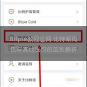 Bitpie教程官网 比特派钱包与其他钱包的区别解析