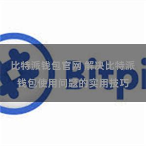 比特派钱包官网 解决比特派钱包使用问题的实用技巧