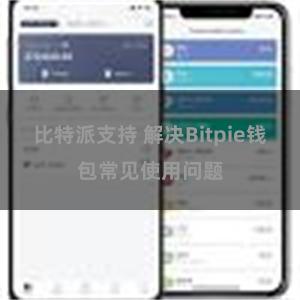 比特派支持 解决Bitpie钱包常见使用问题