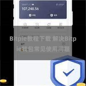 Bitpie教程下载 解决Bitpie钱包常见使用问题