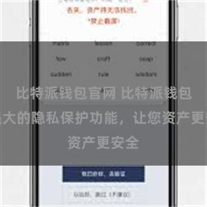 比特派钱包官网 比特派钱包：强大的隐私保护功能，让您资产更安全