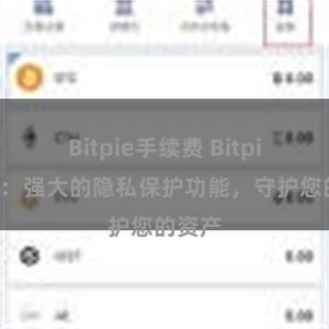 Bitpie手续费 Bitpie钱包：强大的隐私保护功能，守护您的资产