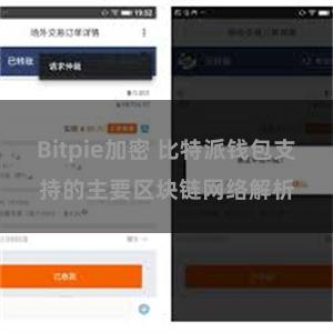 Bitpie加密 比特派钱包支持的主要区块链网络解析