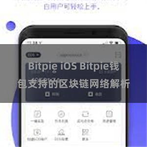 Bitpie iOS Bitpie钱包支持的区块链网络解析