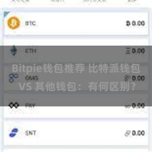 Bitpie钱包推荐 比特派钱包 VS 其他钱包：有何区别？