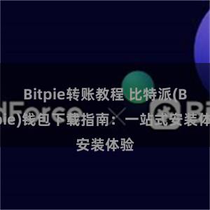 Bitpie转账教程 比特派(Bitpie)钱包下载指南：一站式安装体验