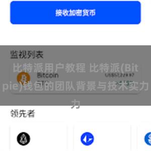 比特派用户教程 比特派(Bitpie)钱包的团队背景与技术实力